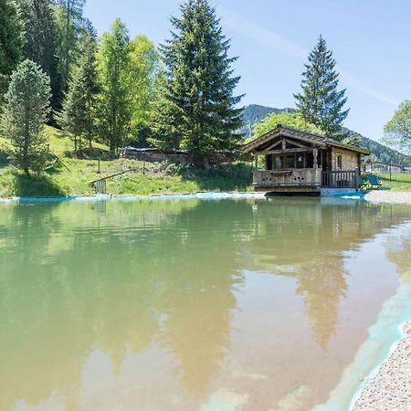 Villa Almliesl Holl-559 à Hollersbach im Pinzgau Extérieur photo