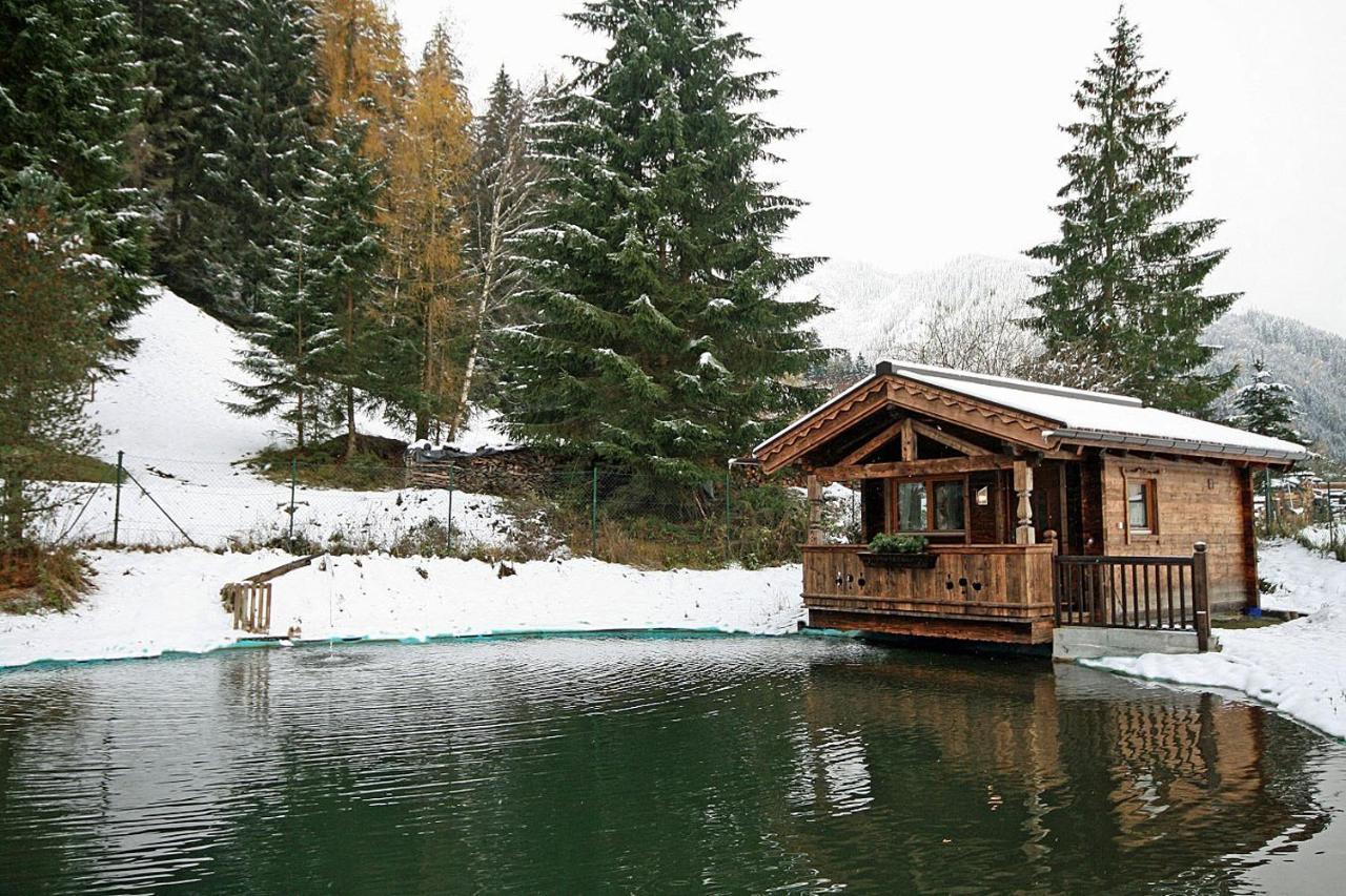 Villa Almliesl Holl-559 à Hollersbach im Pinzgau Extérieur photo